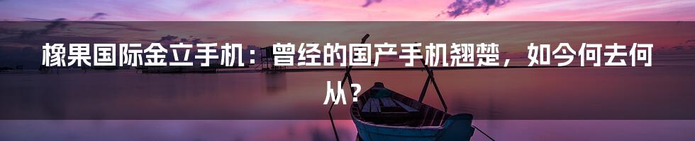 橡果国际金立手机：曾经的国产手机翘楚，如今何去何从？