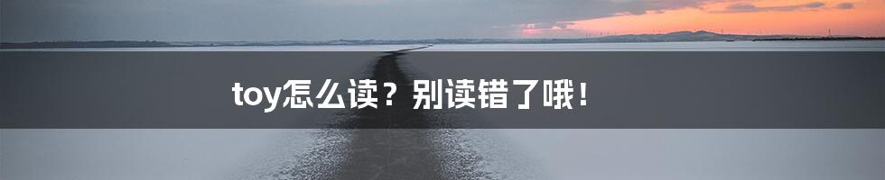 toy怎么读？别读错了哦！