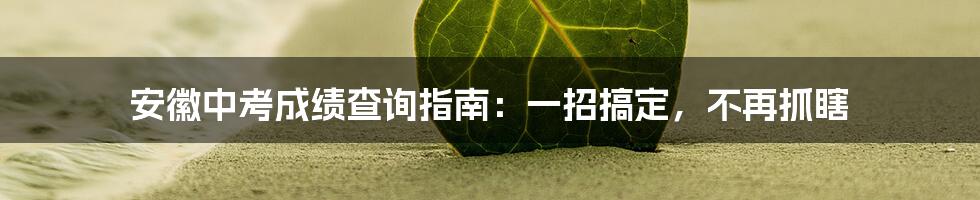 安徽中考成绩查询指南：一招搞定，不再抓瞎