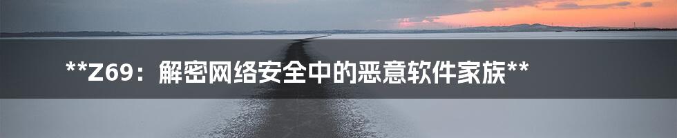 **Z69：解密网络安全中的恶意软件家族**