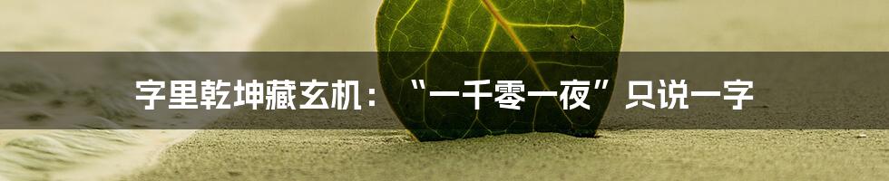 字里乾坤藏玄机：“一千零一夜”只说一字