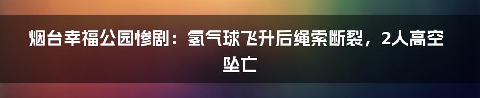 烟台幸福公园惨剧：氢气球飞升后绳索断裂，2人高空坠亡