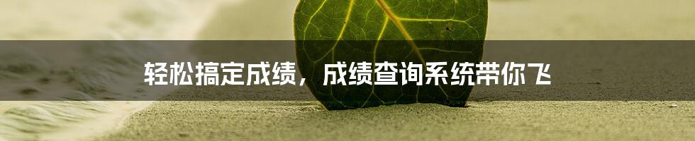 轻松搞定成绩，成绩查询系统带你飞