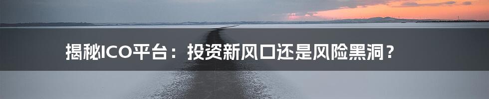 揭秘ICO平台：投资新风口还是风险黑洞？