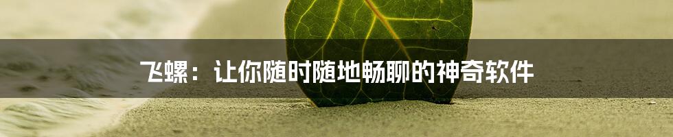 飞螺：让你随时随地畅聊的神奇软件