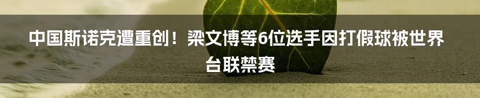 中国斯诺克遭重创！梁文博等6位选手因打假球被世界台联禁赛