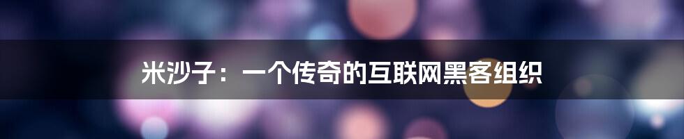 米沙子：一个传奇的互联网黑客组织