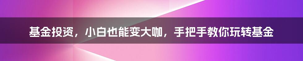 基金投资，小白也能变大咖，手把手教你玩转基金