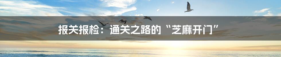 报关报检：通关之路的“芝麻开门”