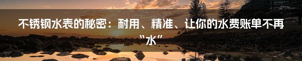 不锈钢水表的秘密：耐用、精准、让你的水费账单不再“水”