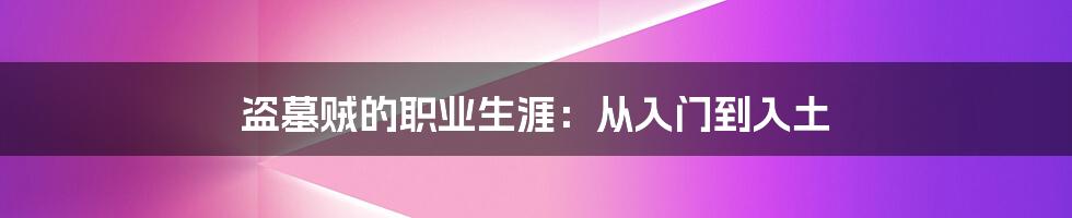 盗墓贼的职业生涯：从入门到入土