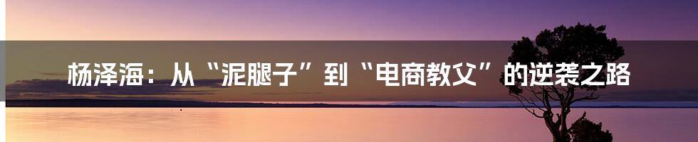 杨泽海：从“泥腿子”到“电商教父”的逆袭之路