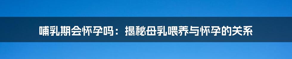 哺乳期会怀孕吗：揭秘母乳喂养与怀孕的关系