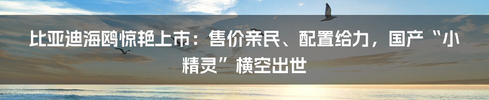 比亚迪海鸥惊艳上市：售价亲民、配置给力，国产“小精灵”横空出世