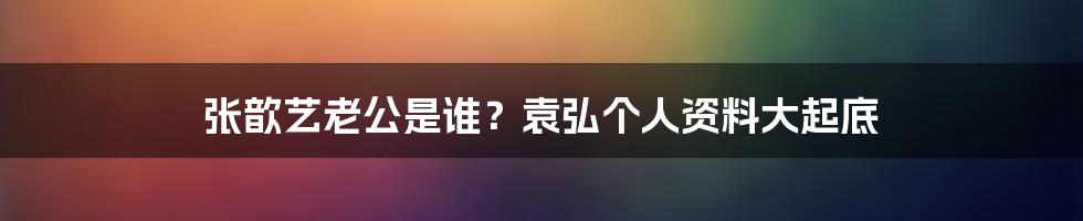 张歆艺老公是谁？袁弘个人资料大起底