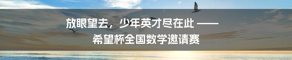 放眼望去，少年英才尽在此 —— 希望杯全国数学邀请赛