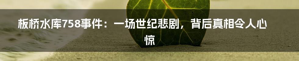 板桥水库758事件：一场世纪悲剧，背后真相令人心惊