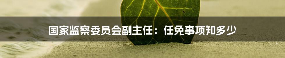 国家监察委员会副主任：任免事项知多少