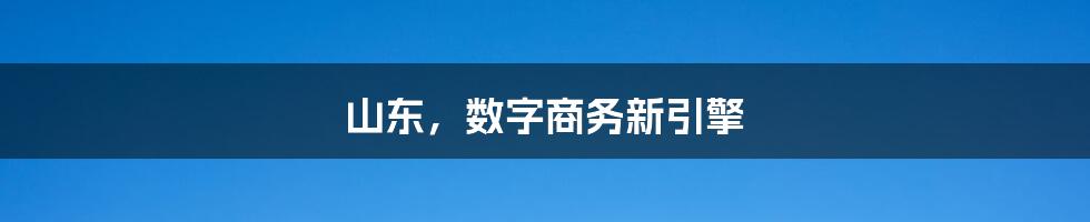 山东，数字商务新引擎