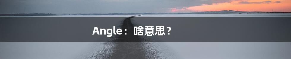 Angle：啥意思？