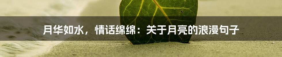 月华如水，情话绵绵：关于月亮的浪漫句子