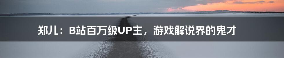 郑儿：B站百万级UP主，游戏解说界的鬼才