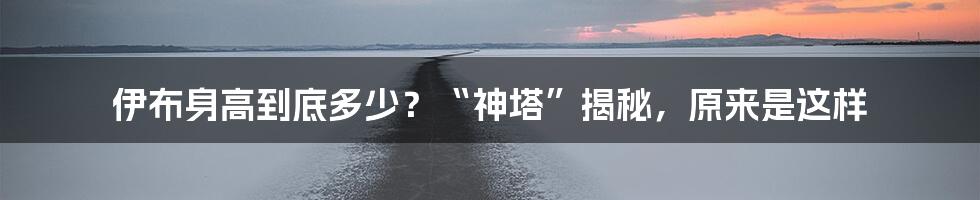 伊布身高到底多少？“神塔”揭秘，原来是这样