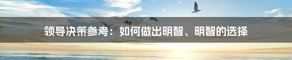 领导决策参考：如何做出明智、明智的选择