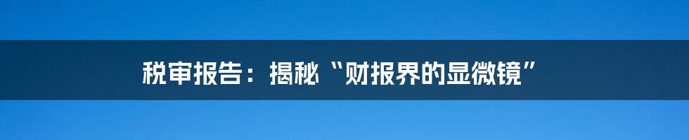 税审报告：揭秘“财报界的显微镜”