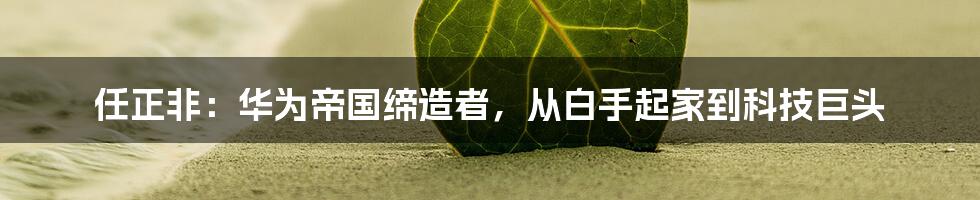 任正非：华为帝国缔造者，从白手起家到科技巨头