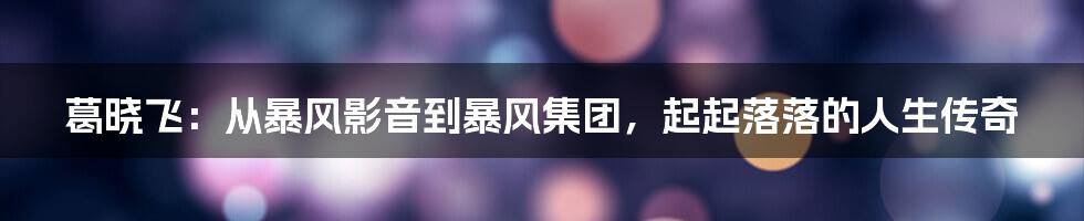 葛晓飞：从暴风影音到暴风集团，起起落落的人生传奇