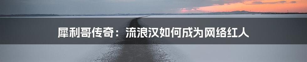 犀利哥传奇：流浪汉如何成为网络红人