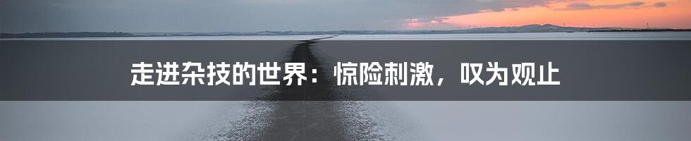 走进杂技的世界：惊险刺激，叹为观止