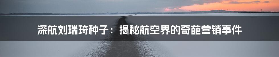 深航刘瑞琦种子：揭秘航空界的奇葩营销事件