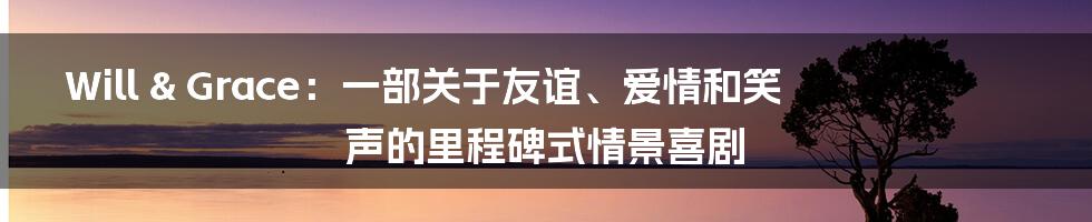 Will & Grace：一部关于友谊、爱情和笑声的里程碑式情景喜剧