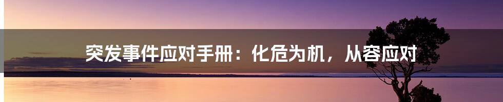 突发事件应对手册：化危为机，从容应对