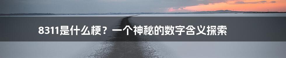 8311是什么梗？一个神秘的数字含义探索