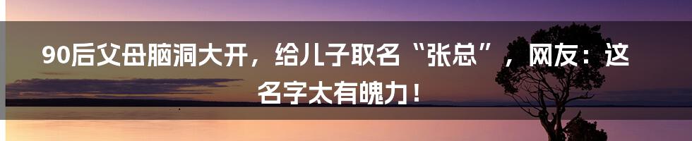 90后父母脑洞大开，给儿子取名“张总”，网友：这名字太有魄力！