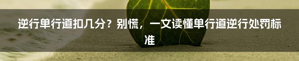 逆行单行道扣几分？别慌，一文读懂单行道逆行处罚标准