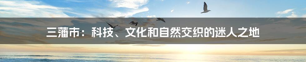 三藩市：科技、文化和自然交织的迷人之地