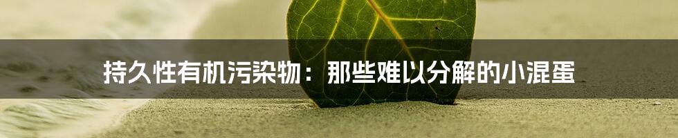 持久性有机污染物：那些难以分解的小混蛋