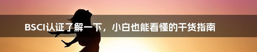 BSCI认证了解一下，小白也能看懂的干货指南