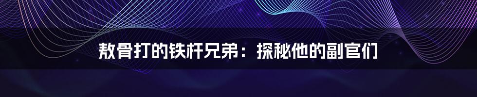 敖骨打的铁杆兄弟：探秘他的副官们