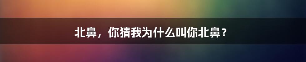 北鼻，你猜我为什么叫你北鼻？