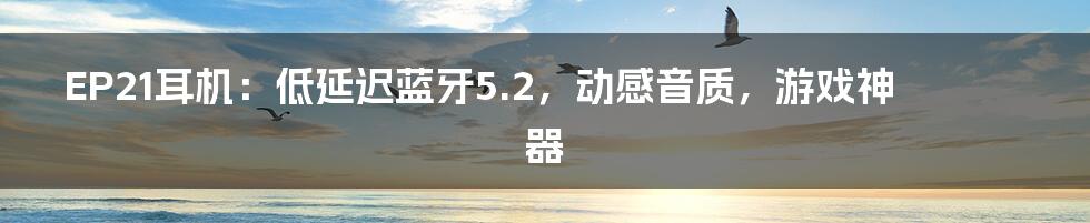 EP21耳机：低延迟蓝牙5.2，动感音质，游戏神器