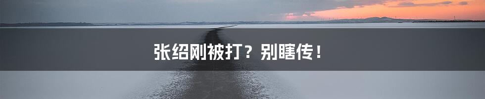 张绍刚被打？别瞎传！