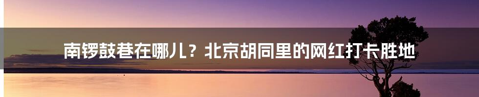 南锣鼓巷在哪儿？北京胡同里的网红打卡胜地