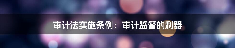 审计法实施条例：审计监督的利器