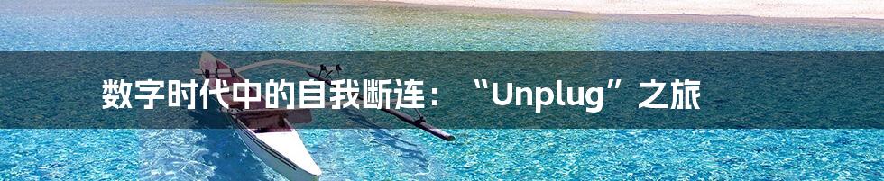 数字时代中的自我断连：“Unplug”之旅