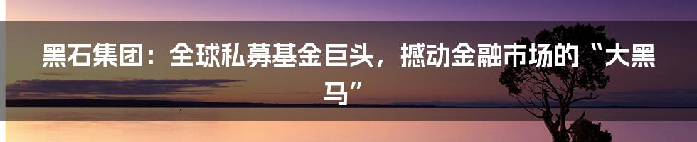 黑石集团：全球私募基金巨头，撼动金融市场的“大黑马”